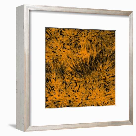 Grass (orange), c.2011-Davide Polla-Framed Premium Giclee Print