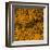 Grass (orange), c.2011-Davide Polla-Framed Premium Giclee Print