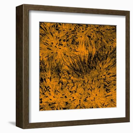 Grass (orange), c.2011-Davide Polla-Framed Premium Giclee Print