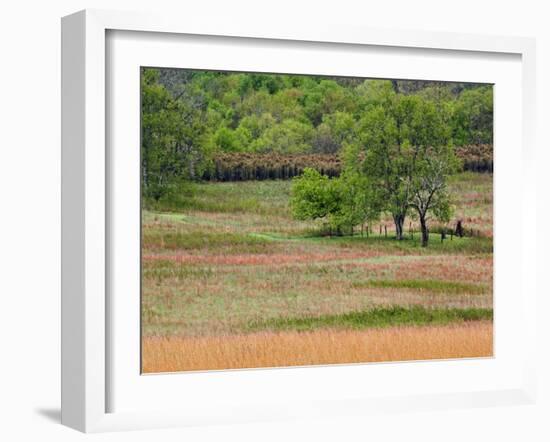 Grass Pattern in Cades Cove, Great Smoky Mountains National Park, Tennessee, USA-Adam Jones-Framed Photographic Print