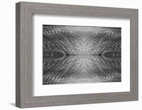 Grass pattern reflected and flipped, Bandon, Oregon-Adam Jones-Framed Photographic Print