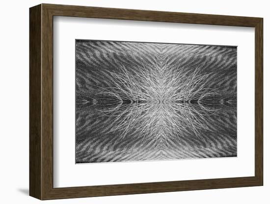 Grass pattern reflected and flipped, Bandon, Oregon-Adam Jones-Framed Photographic Print