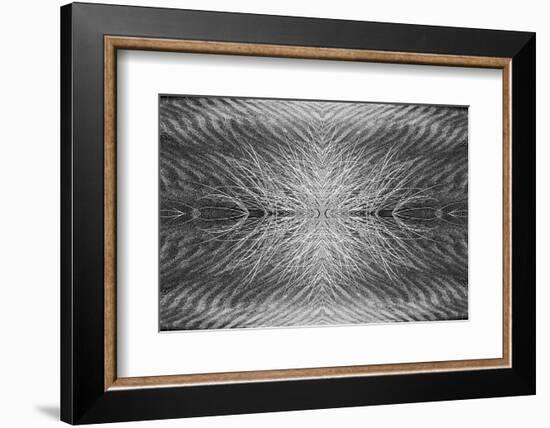 Grass pattern reflected and flipped, Bandon, Oregon-Adam Jones-Framed Photographic Print