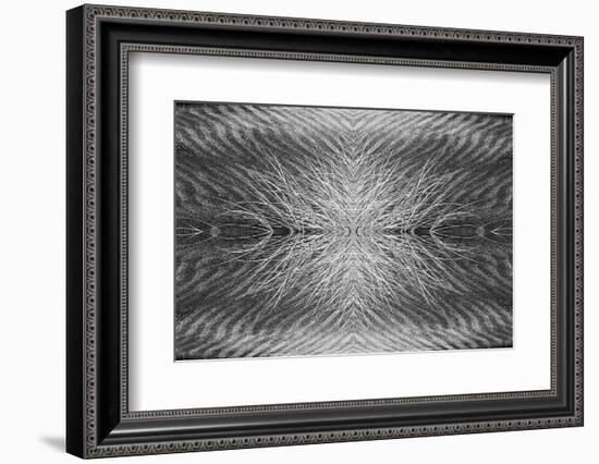 Grass pattern reflected and flipped, Bandon, Oregon-Adam Jones-Framed Photographic Print