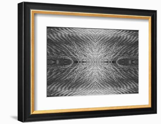 Grass pattern reflected and flipped, Bandon, Oregon-Adam Jones-Framed Photographic Print