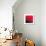 Grass (red), c.2011-Davide Polla-Premium Giclee Print displayed on a wall