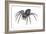 Grass Spider (Agelenopsis), Arachnids-Encyclopaedia Britannica-Framed Art Print