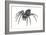 Grass Spider (Agelenopsis), Arachnids-Encyclopaedia Britannica-Framed Art Print