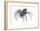Grass Spider (Agelenopsis), Arachnids-Encyclopaedia Britannica-Framed Art Print