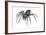 Grass Spider (Agelenopsis), Arachnids-Encyclopaedia Britannica-Framed Art Print