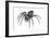 Grass Spider (Agelenopsis), Arachnids-Encyclopaedia Britannica-Framed Art Print