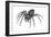 Grass Spider (Agelenopsis), Arachnids-Encyclopaedia Britannica-Framed Art Print