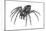 Grass Spider (Agelenopsis), Arachnids-Encyclopaedia Britannica-Mounted Art Print