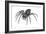 Grass Spider (Agelenopsis), Arachnids-Encyclopaedia Britannica-Framed Art Print