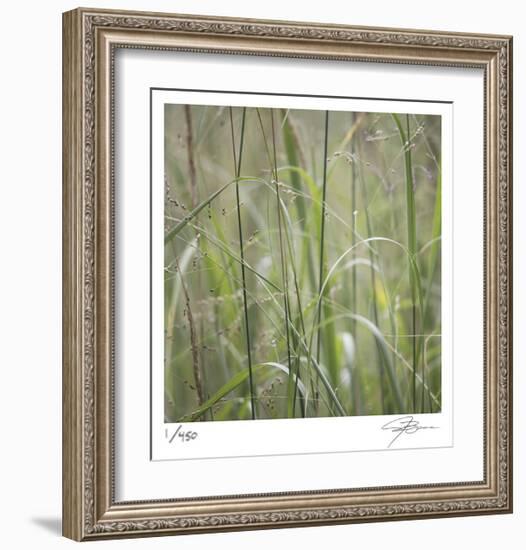 Grass Square 32-Ken Bremer-Framed Limited Edition