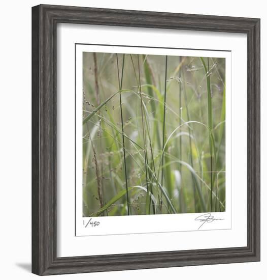 Grass Square 32-Ken Bremer-Framed Limited Edition