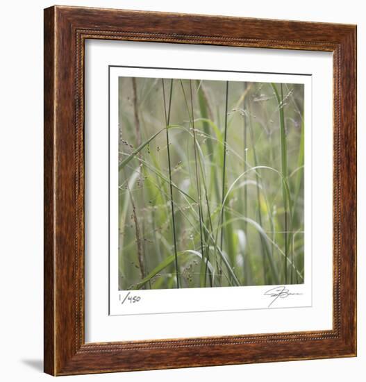 Grass Square 32-Ken Bremer-Framed Limited Edition