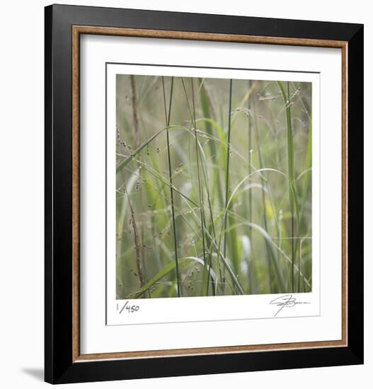 Grass Square 32-Ken Bremer-Framed Limited Edition