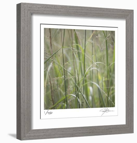 Grass Square 32-Ken Bremer-Framed Limited Edition