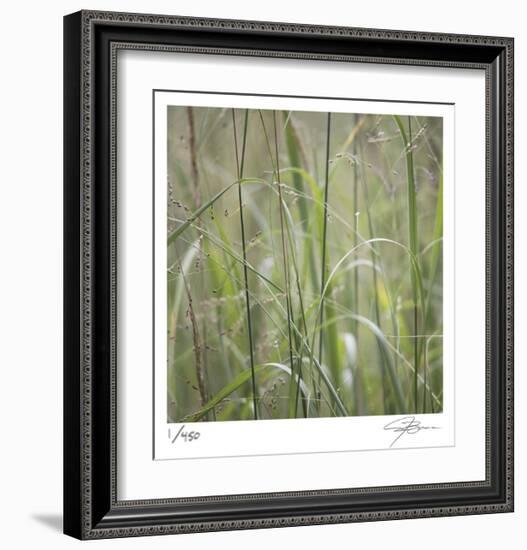 Grass Square 32-Ken Bremer-Framed Limited Edition