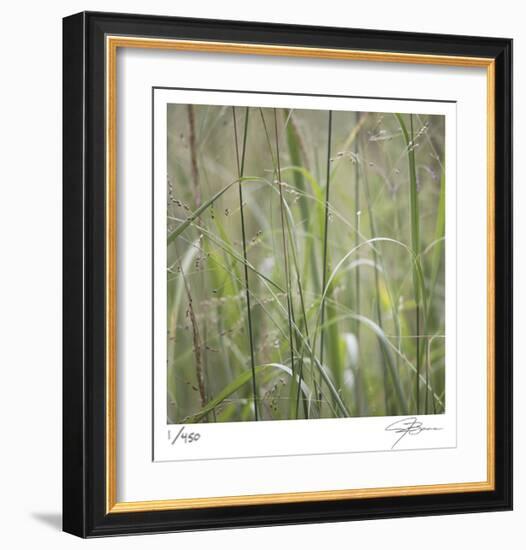 Grass Square 32-Ken Bremer-Framed Limited Edition