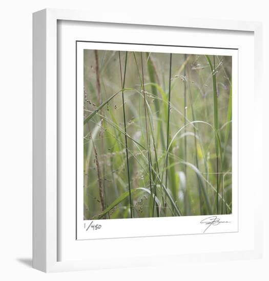 Grass Square 32-Ken Bremer-Framed Limited Edition