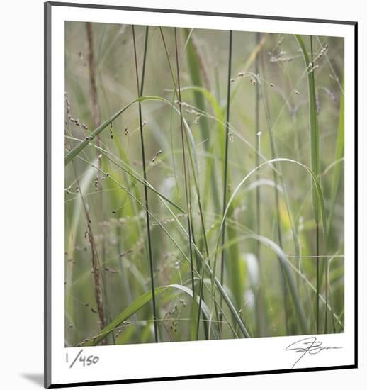 Grass Square 32-Ken Bremer-Mounted Limited Edition