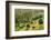 Grass trees, Fleurieu Peninsula, South Australia-Mark A Johnson-Framed Photographic Print