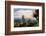 Grass Trees on Mt Kiangarow, Bunya Mountains National Park, Queensland, Australia-Mark A Johnson-Framed Photographic Print