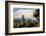 Grass Trees on Mt Kiangarow, Bunya Mountains National Park, Queensland, Australia-Mark A Johnson-Framed Photographic Print