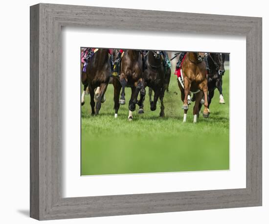 Grass turf horse racing-Maresa Pryor-Framed Photographic Print