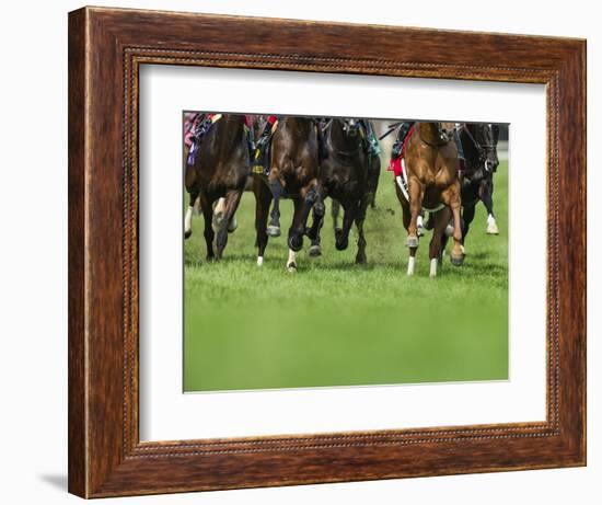 Grass turf horse racing-Maresa Pryor-Framed Photographic Print