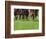 Grass turf horse racing-Maresa Pryor-Framed Photographic Print