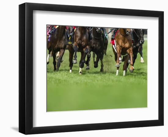 Grass turf horse racing-Maresa Pryor-Framed Photographic Print