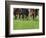 Grass turf horse racing-Maresa Pryor-Framed Photographic Print