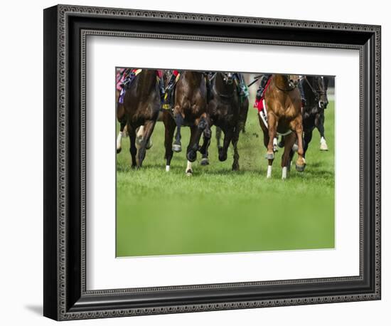 Grass turf horse racing-Maresa Pryor-Framed Photographic Print