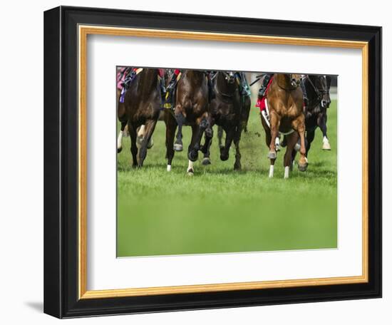 Grass turf horse racing-Maresa Pryor-Framed Photographic Print