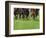 Grass turf horse racing-Maresa Pryor-Framed Photographic Print