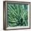 Grass with Morning Dew-Jan Bell-Framed Photographic Print