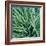 Grass with Morning Dew-Jan Bell-Framed Photographic Print