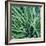 Grass with Morning Dew-Jan Bell-Framed Photographic Print