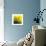 Grass (yellow), c.2011-Davide Polla-Premium Giclee Print displayed on a wall