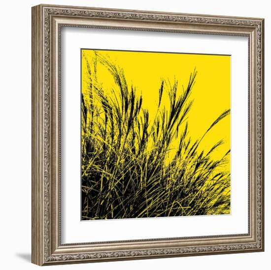 Grass (yellow), c.2011-Davide Polla-Framed Premium Giclee Print