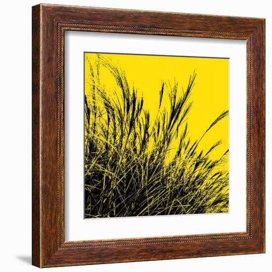 Grass (yellow), c.2011-Davide Polla-Framed Premium Giclee Print