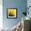 Grass (yellow), c.2011-Davide Polla-Framed Premium Giclee Print displayed on a wall