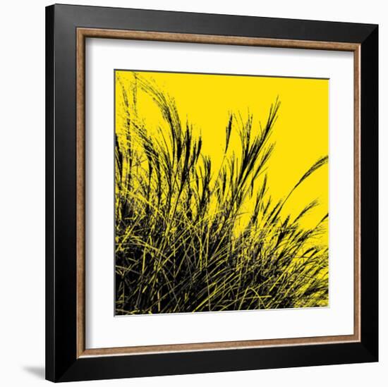 Grass (yellow), c.2011-Davide Polla-Framed Premium Giclee Print