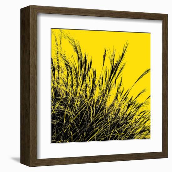 Grass (yellow), c.2011-Davide Polla-Framed Premium Giclee Print