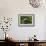 Grass-Gordon Semmens-Framed Photographic Print displayed on a wall