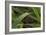 Grass-Gordon Semmens-Framed Photographic Print