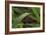 Grass-Gordon Semmens-Framed Photographic Print